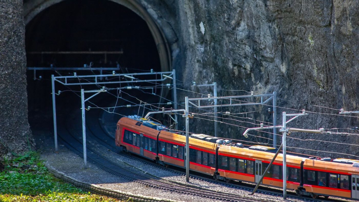 Traficul trenurilor ICE din centrul Germaniei, blocat de un român!