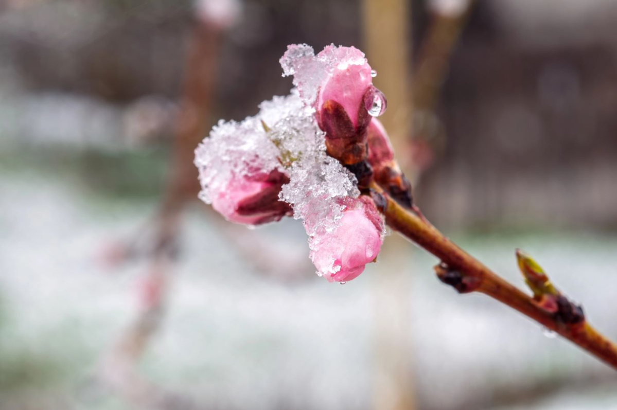 Răcire bruscă a vremii în Germania!