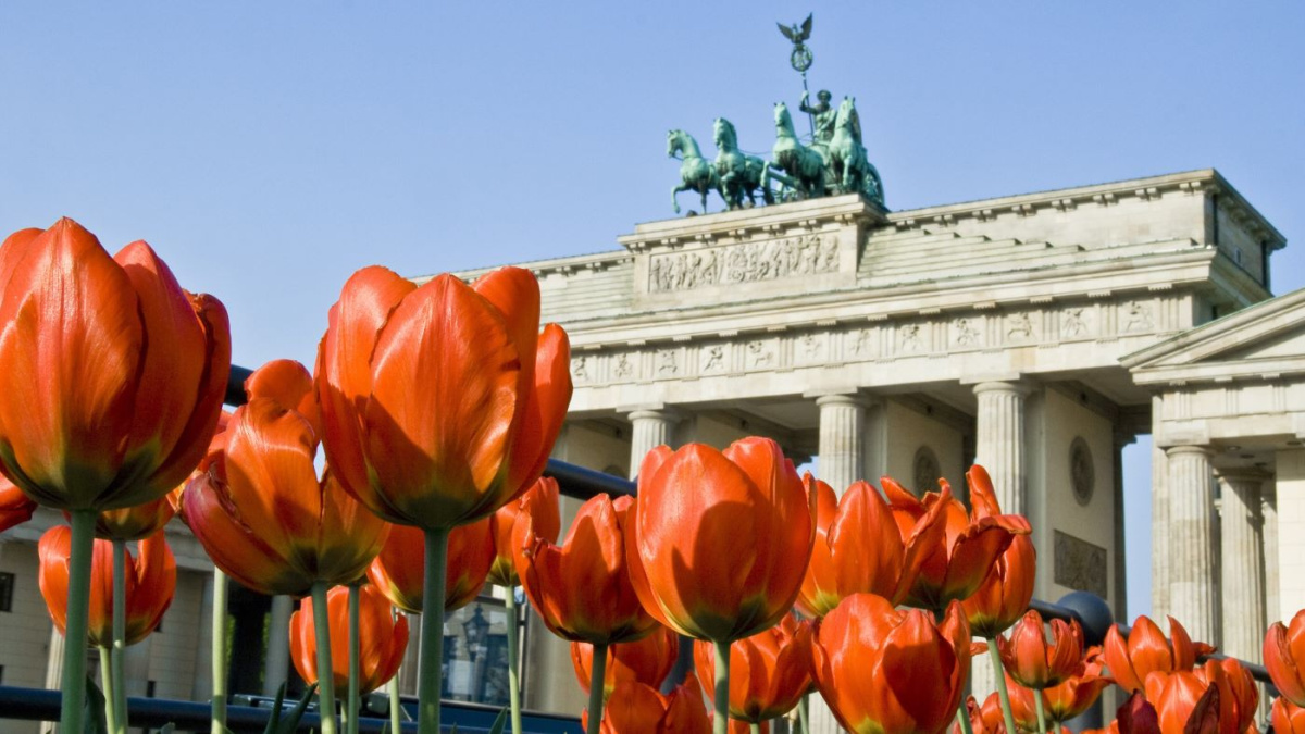  Tot ce se schimbă în Germania în mai 2026